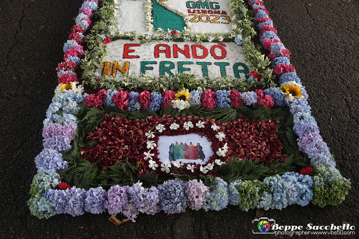 VBS_9724 - Infiorata di Villanova d'Asti 2023.jpg
